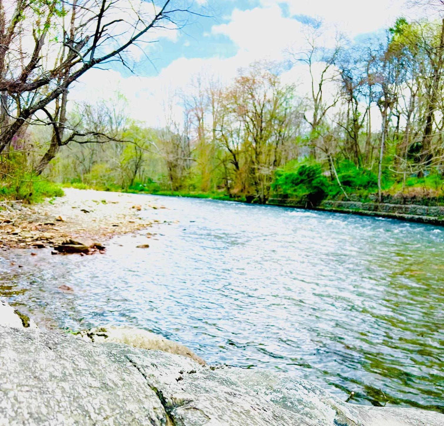 Newfound Lodge On The River Cherokee Exteriér fotografie